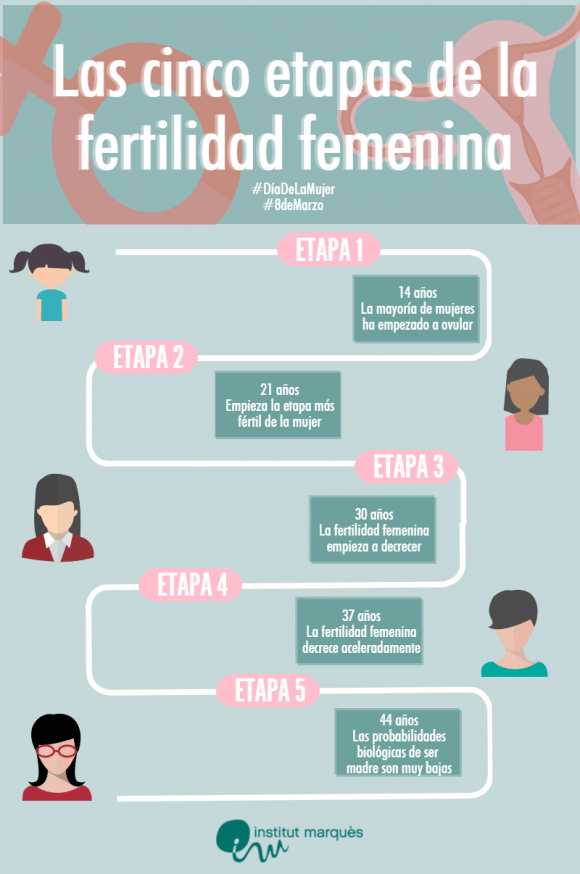 Las 5 Etapas De La Vida Fértil De La Mujer Institut Marquès 8239