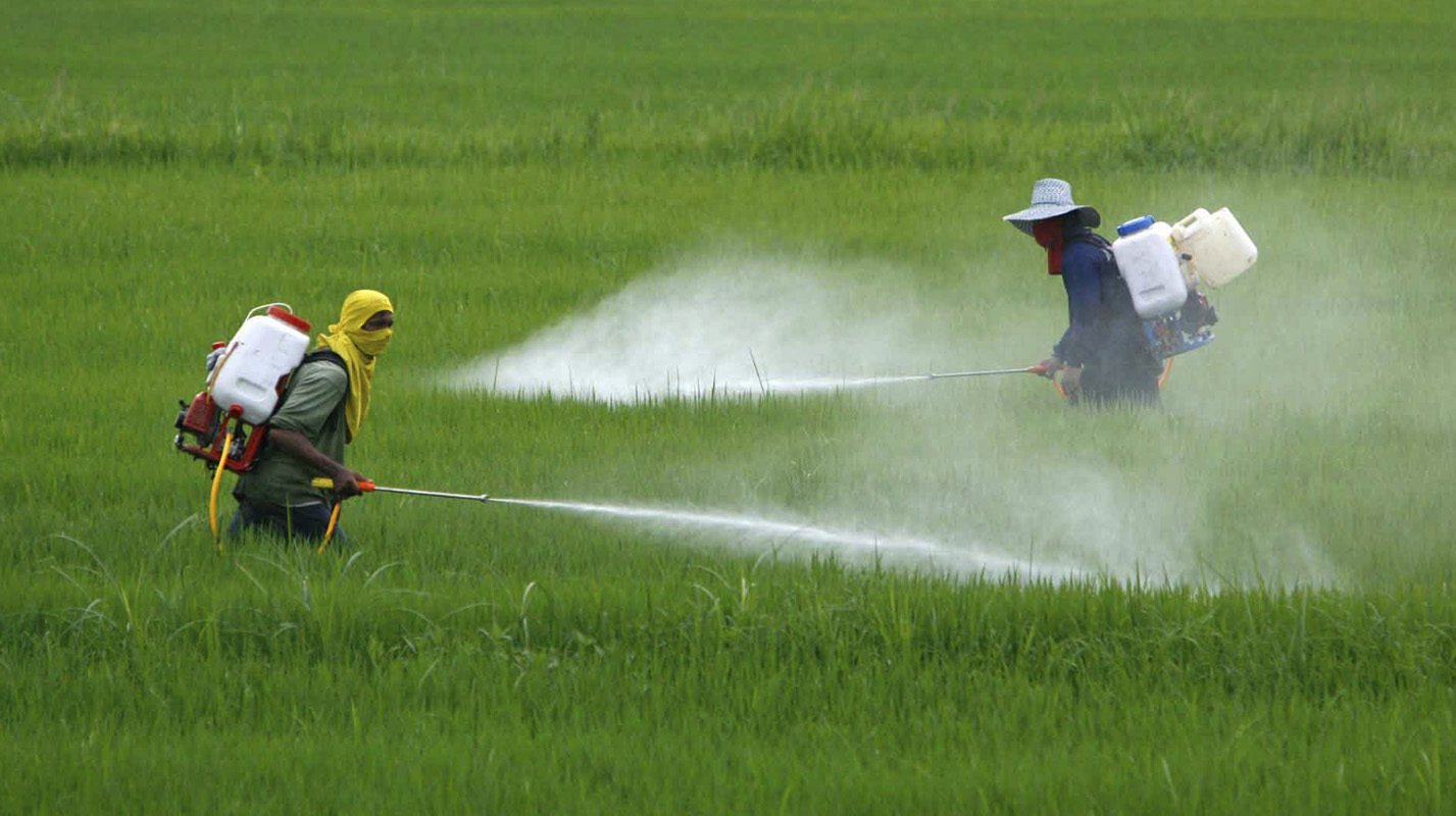Manifiesto pesticidas