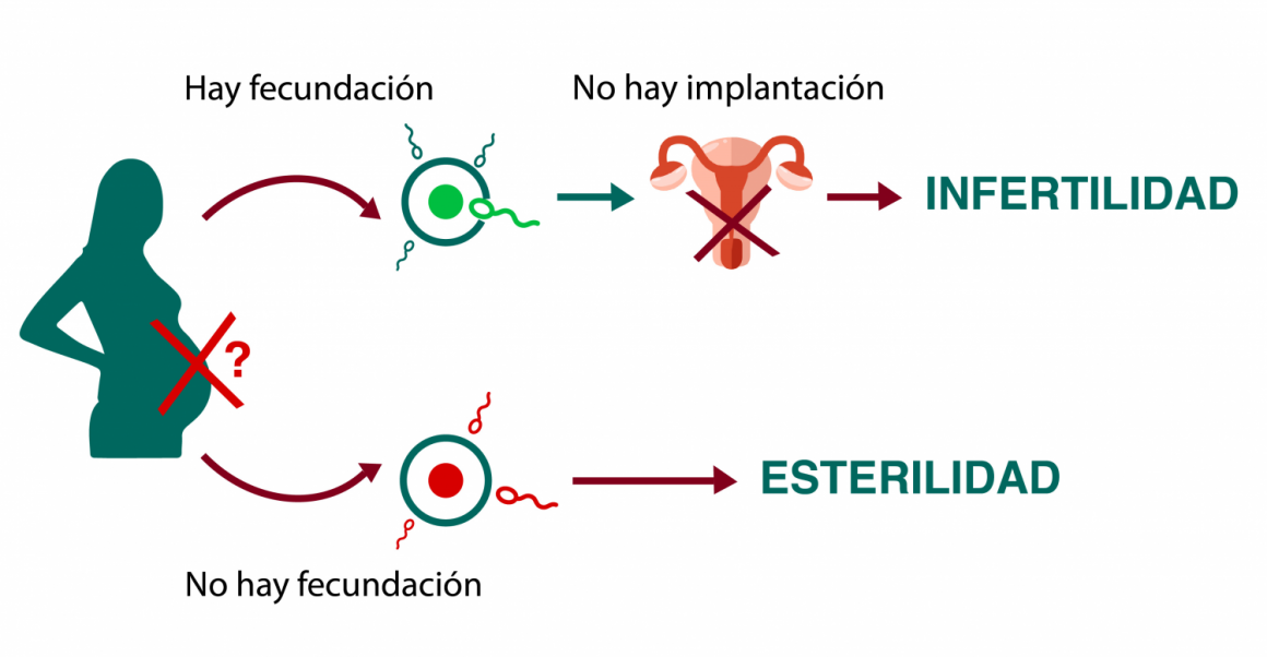 Antes De La Primera Visita - Institut Marquès